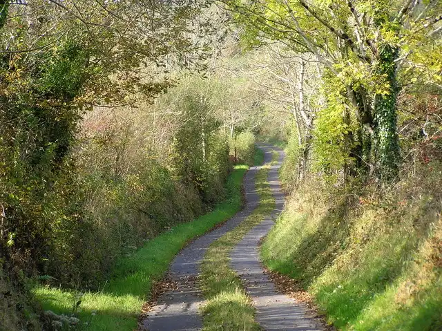 Path
