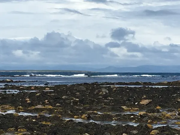 Sea Sick photo